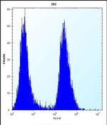 eIF2b alpha Antibody in Flow Cytometry (Flow)