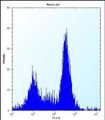 SDF2L1 Antibody in Flow Cytometry (Flow)