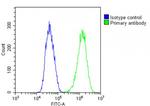 DSPP Antibody in Flow Cytometry (Flow)