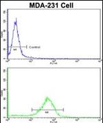 Rubicon Antibody in Flow Cytometry (Flow)