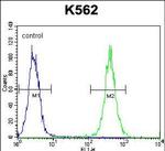 AGO2 Antibody in Flow Cytometry (Flow)