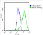 alpha-1D Adrenoceptor Antibody in Flow Cytometry (Flow)