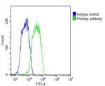 ENT2 Antibody in Flow Cytometry (Flow)