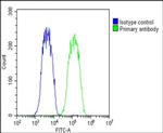 WNT5A Antibody in Flow Cytometry (Flow)