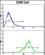 TGM4 Antibody in Flow Cytometry (Flow)