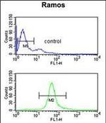 CBS Antibody in Flow Cytometry (Flow)