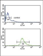 DCT Antibody in Flow Cytometry (Flow)