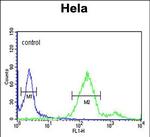 RAB8A Antibody in Flow Cytometry (Flow)