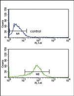 APEX2 Antibody in Flow Cytometry (Flow)