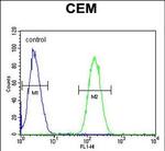 WASP Antibody in Flow Cytometry (Flow)