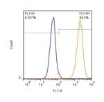 GLAST Antibody in Flow Cytometry (Flow)