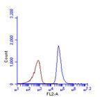 Phospho-SQSTM1 (Ser403) Antibody in Flow Cytometry (Flow)