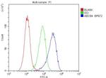 ABCB4 Antibody in Flow Cytometry (Flow)