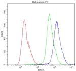 ABCG5 Antibody in Flow Cytometry (Flow)