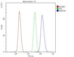 AKR1B1 Antibody in Flow Cytometry (Flow)