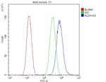 ALDH1A3 Antibody in Flow Cytometry (Flow)