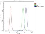 ALDH7A1 Antibody in Flow Cytometry (Flow)