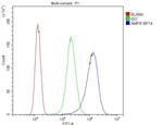 AMFR Antibody in Flow Cytometry (Flow)