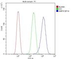 AMFR Antibody in Flow Cytometry (Flow)