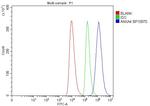 Annexin A4 Antibody in Flow Cytometry (Flow)