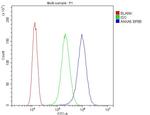 Annexin V Antibody in Flow Cytometry (Flow)