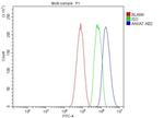 Annexin VII Antibody in Flow Cytometry (Flow)