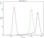 APLP1 Antibody in Flow Cytometry (Flow)