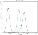 Aquaporin 1 Antibody in Flow Cytometry (Flow)