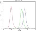 Aquaporin 2 Antibody in Flow Cytometry (Flow)