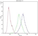 ARSA Antibody in Flow Cytometry (Flow)