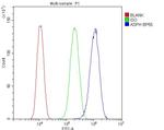 ASPH Antibody in Flow Cytometry (Flow)