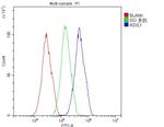 ASXL1 Antibody in Flow Cytometry (Flow)