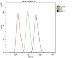 ASXL1 Antibody in Flow Cytometry (Flow)