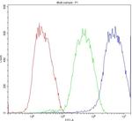 ATF2 Antibody in Flow Cytometry (Flow)