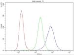 Ataxin 2 Antibody in Flow Cytometry (Flow)