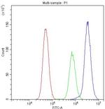 Bcl-xL Antibody in Flow Cytometry (Flow)