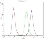 Bestrophin 1 Antibody in Flow Cytometry (Flow)