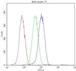 Osteocalcin Antibody in Flow Cytometry (Flow)