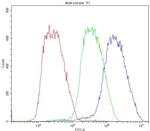 BMP6 Antibody in Flow Cytometry (Flow)