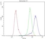 Carbonic Anhydrase II Antibody in Flow Cytometry (Flow)