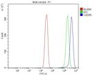 Caspase 6 p18 Antibody in Flow Cytometry (Flow)