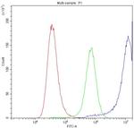 Calpastatin Antibody in Flow Cytometry (Flow)