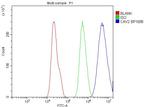 Caveolin 2 Antibody in Flow Cytometry (Flow)