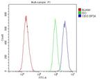 HP1 gamma Antibody in Flow Cytometry (Flow)