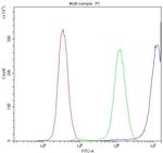 CCT3 Antibody in Flow Cytometry (Flow)