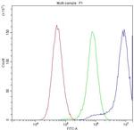 CCT3 Antibody in Flow Cytometry (Flow)