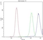 TCP-1 delta Antibody in Flow Cytometry (Flow)