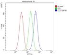 TCP1 eta Antibody in Flow Cytometry (Flow)