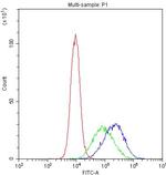 DC-SIGN (CD209) Antibody in Flow Cytometry (Flow)