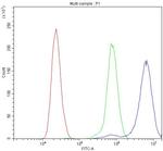 CD2AP Antibody in Flow Cytometry (Flow)